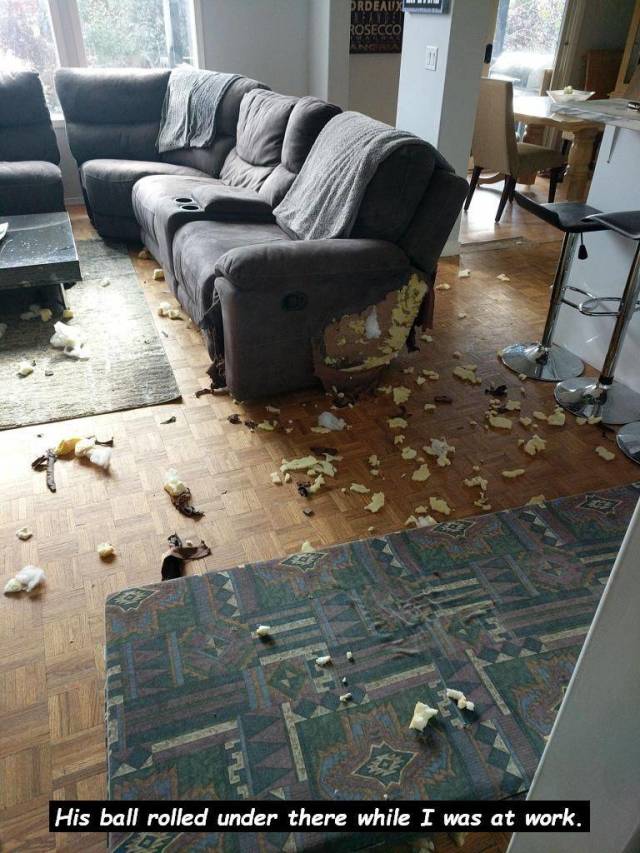 Daily Picdump
