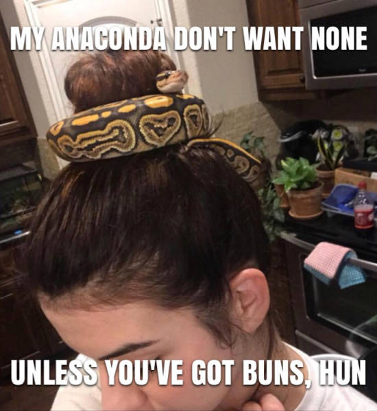 Content Image