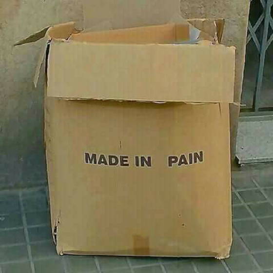 Content Image