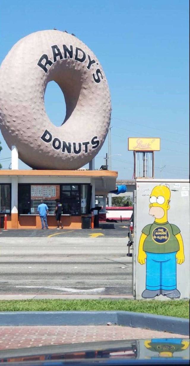 Morning Picdump