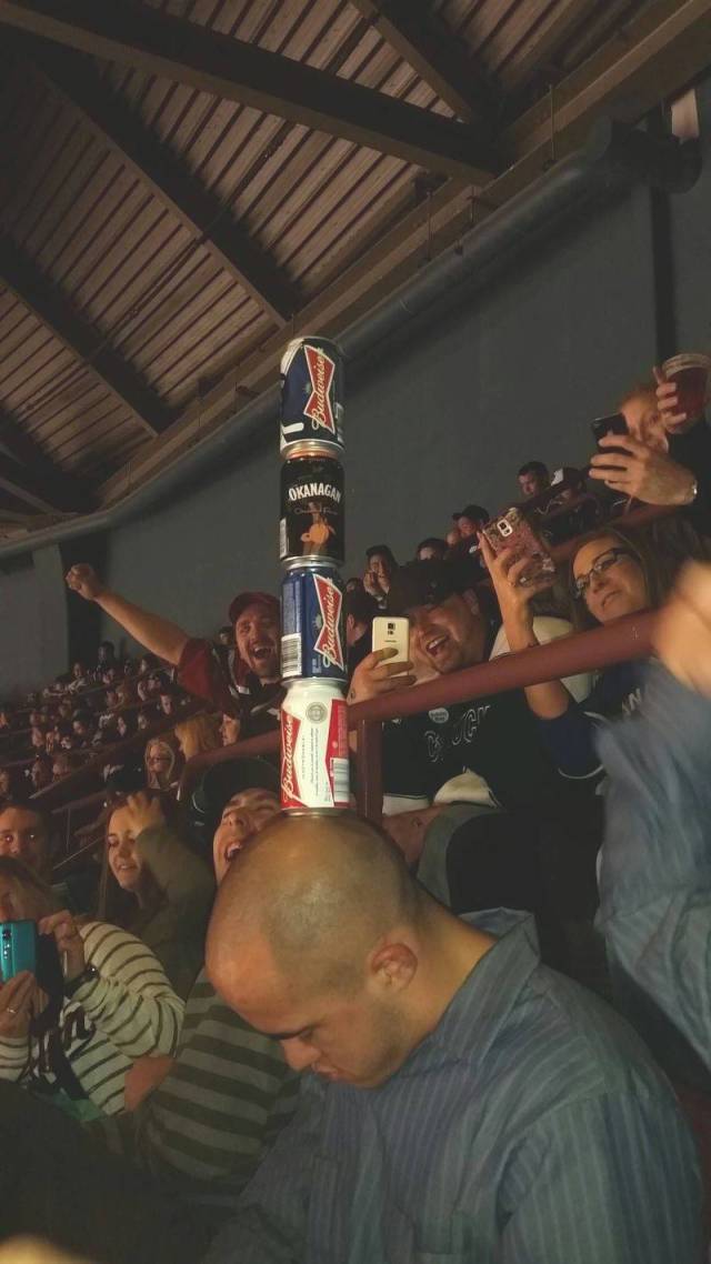 Daily Picdump