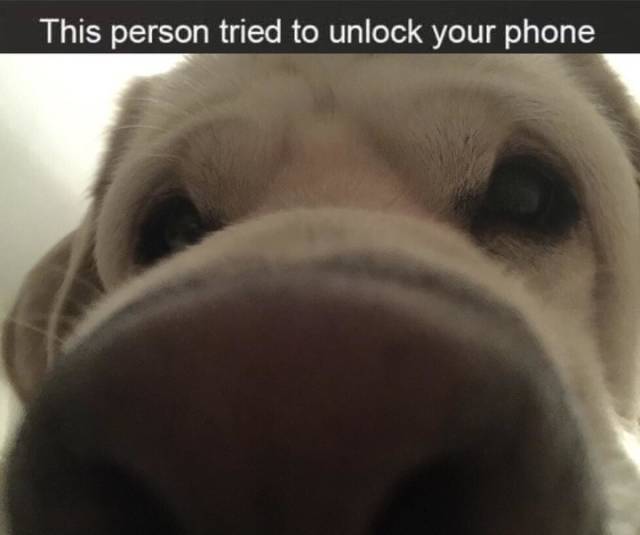 Funny Picdump