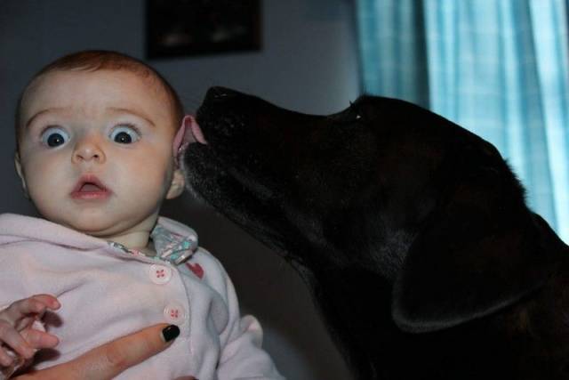 Daily Picdump