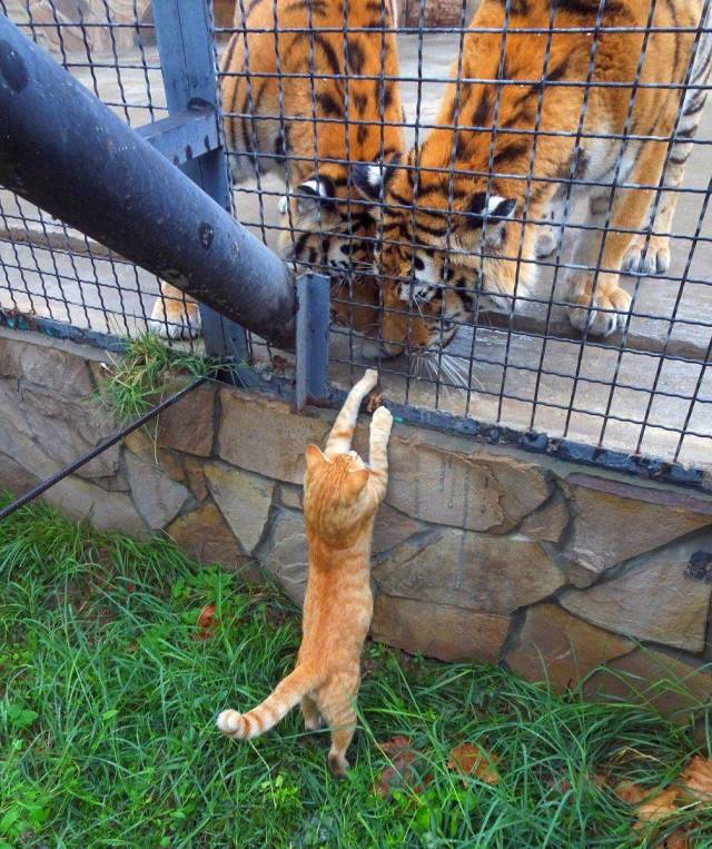 Daily Picdump