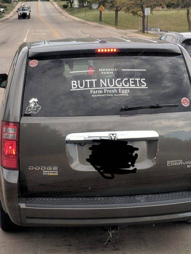Content Image