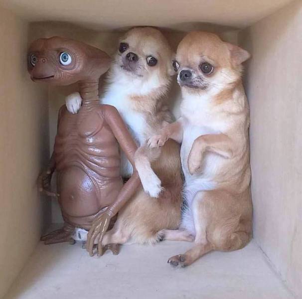 Daily Picdump