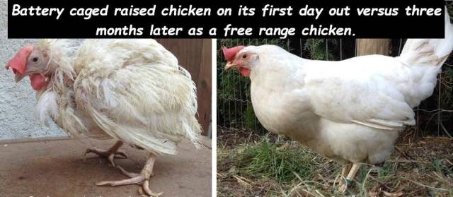 Daily Picdump
