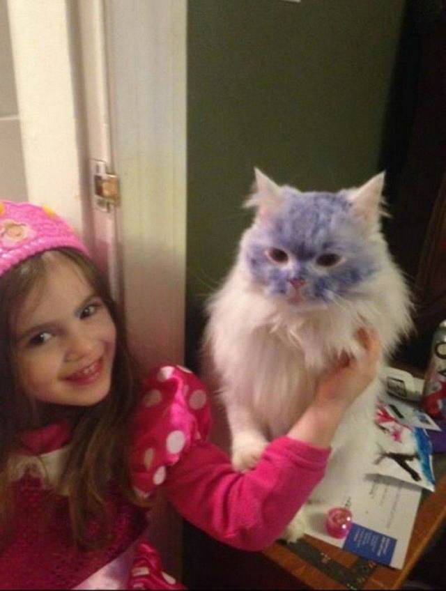 Daily Picdump