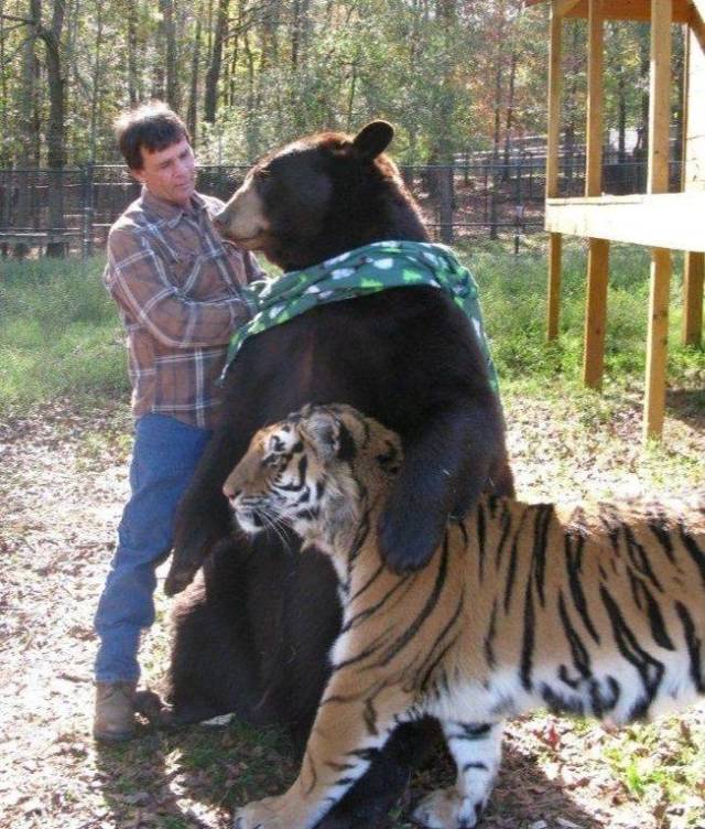 Daily Picdump