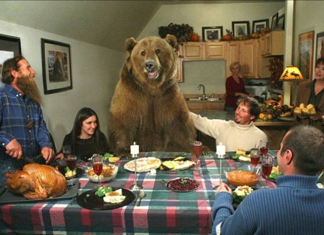 Daily Picdump