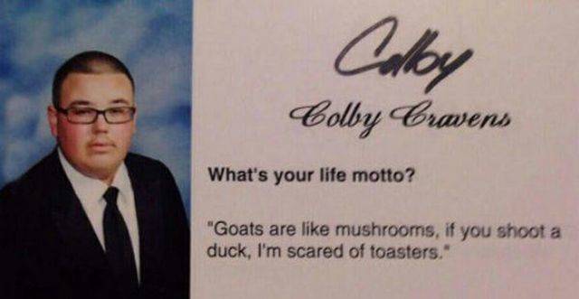Content Image