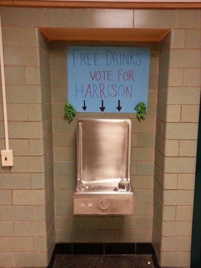 Daily Picdump