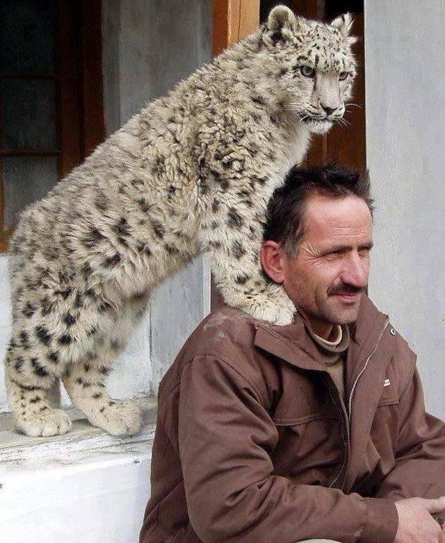 Daily Picdump