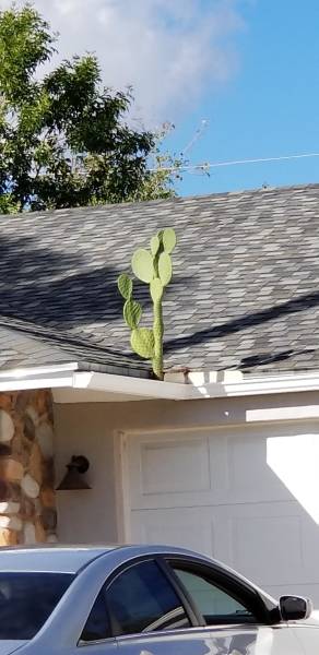 Morning Picdump