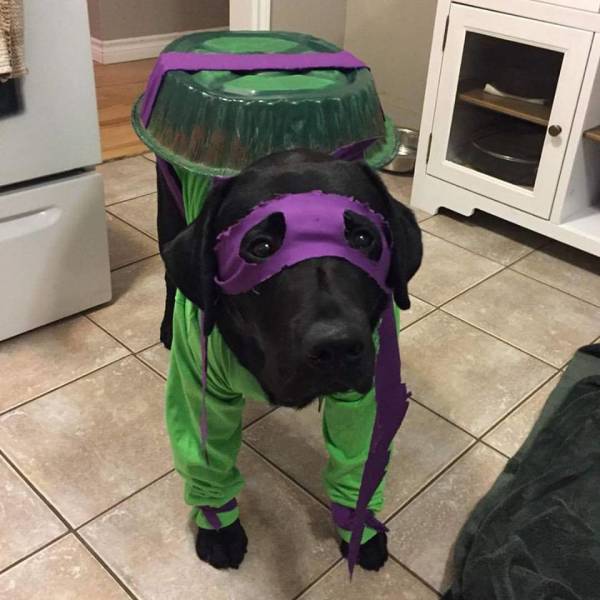 Morning Picdump