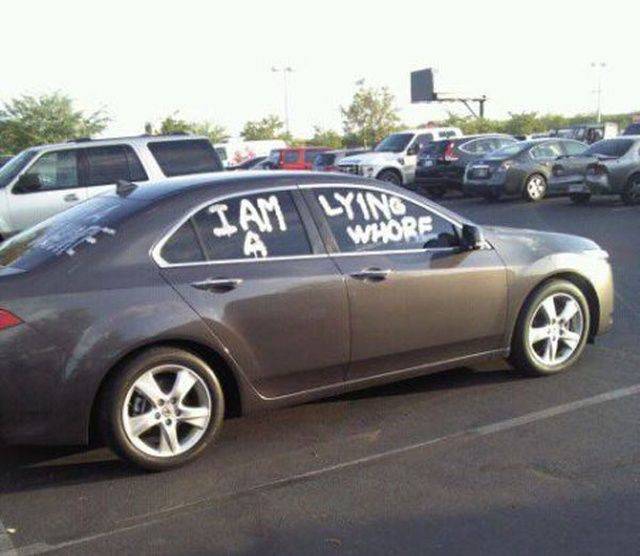 Daily Picdump