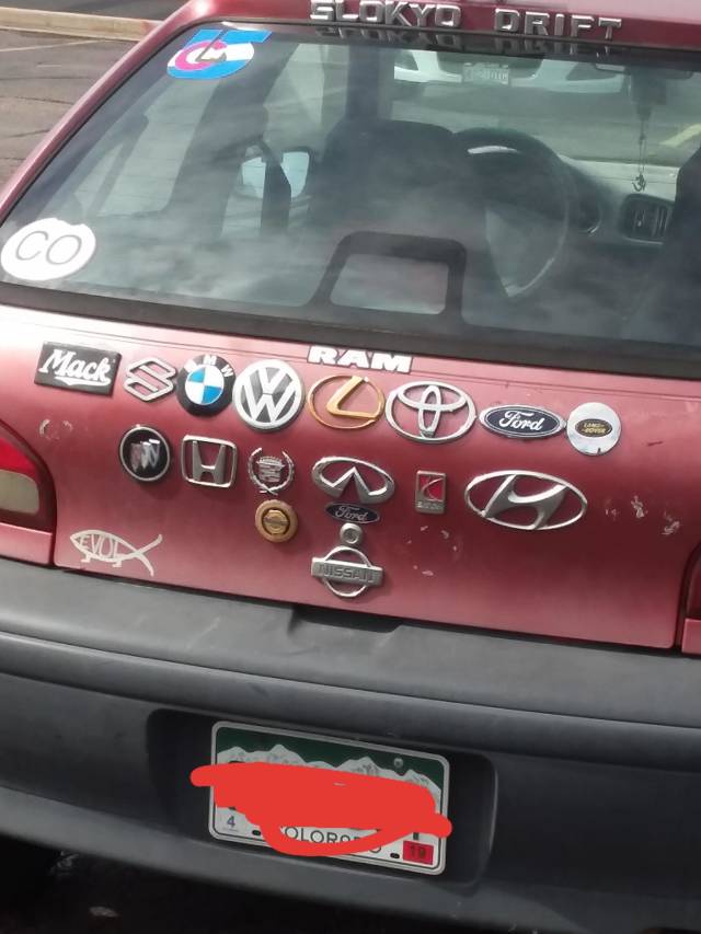 Content Image