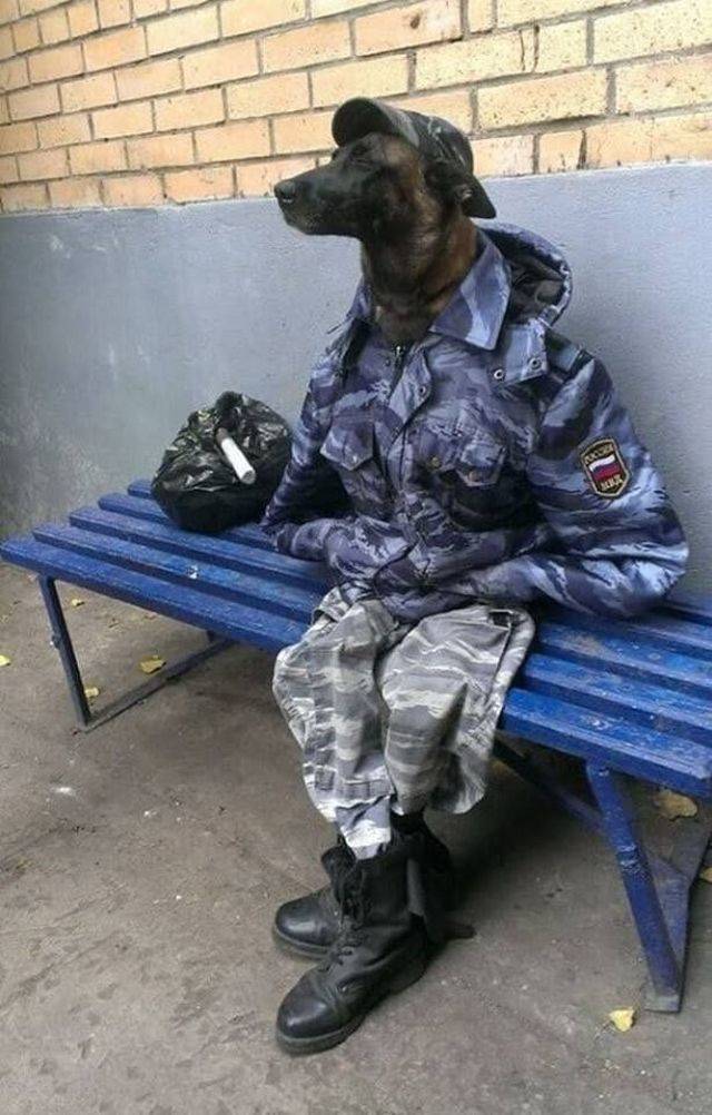 Content Image