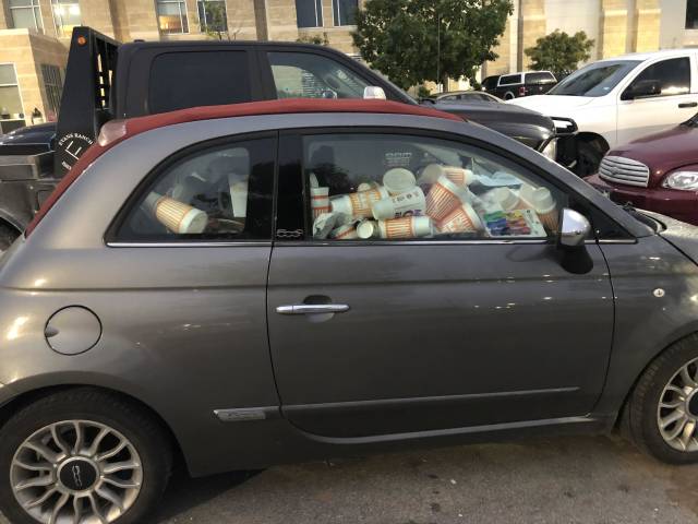 Morning Picdump