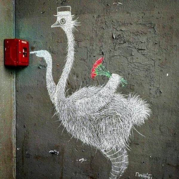 Morning Picdump