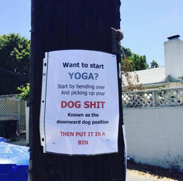 Morning Picdump