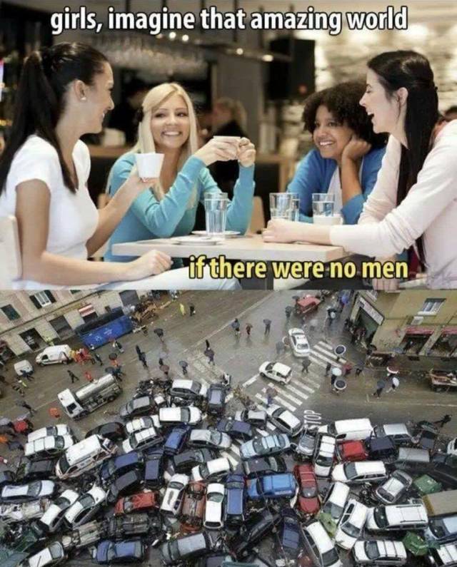 Daily Picdump