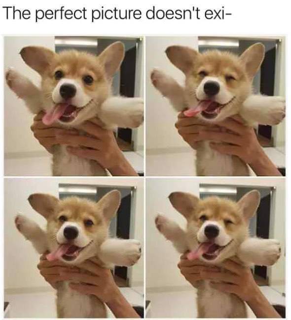 Content Image