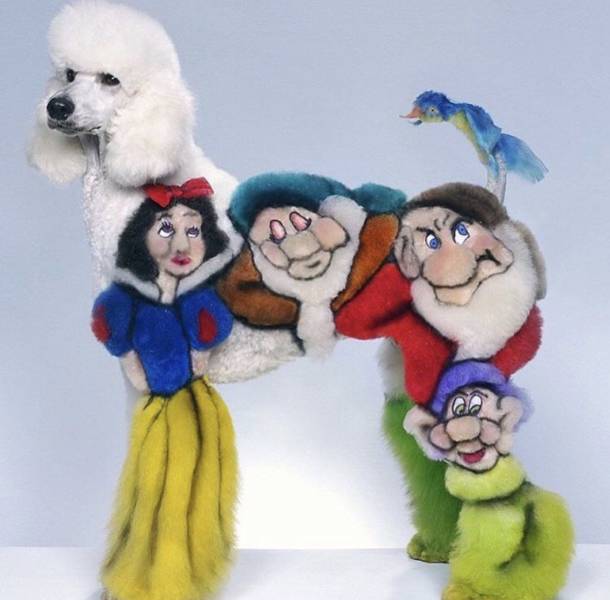 Content Image