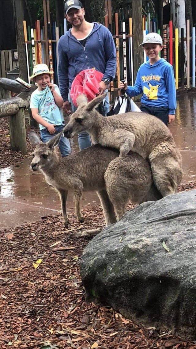 Content Image