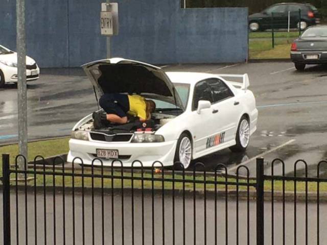 Morning Picdump