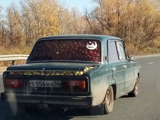 Morning Picdump