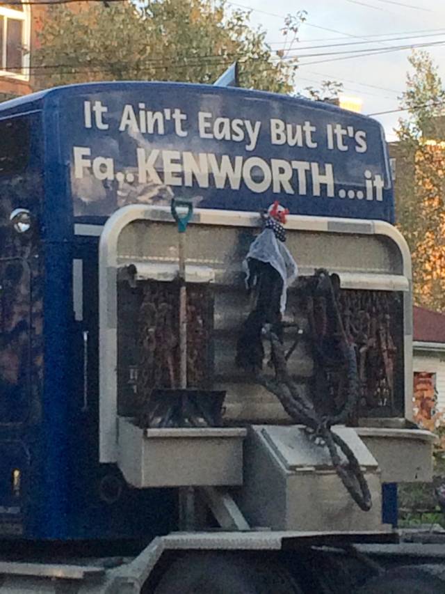 Morning Picdump