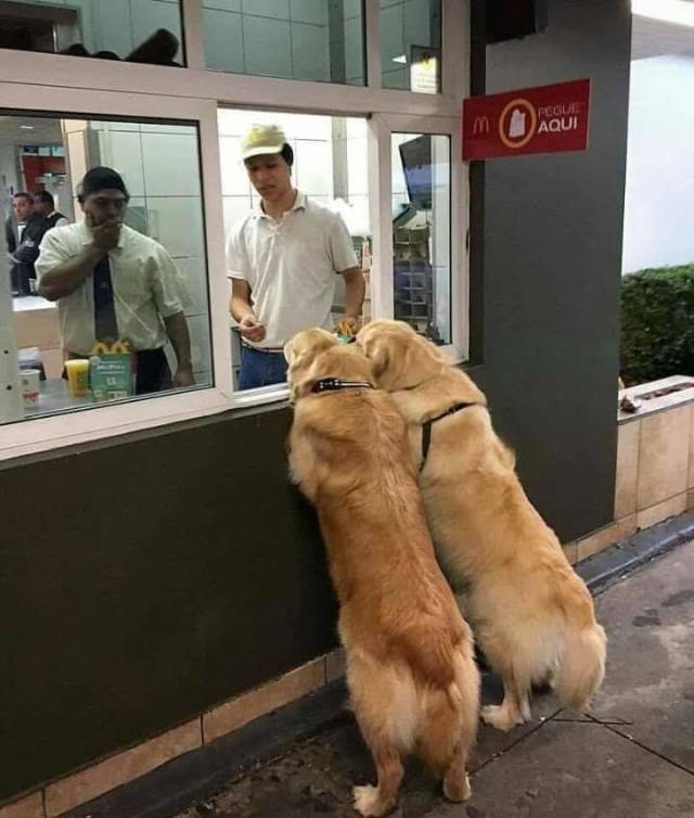 Content Image