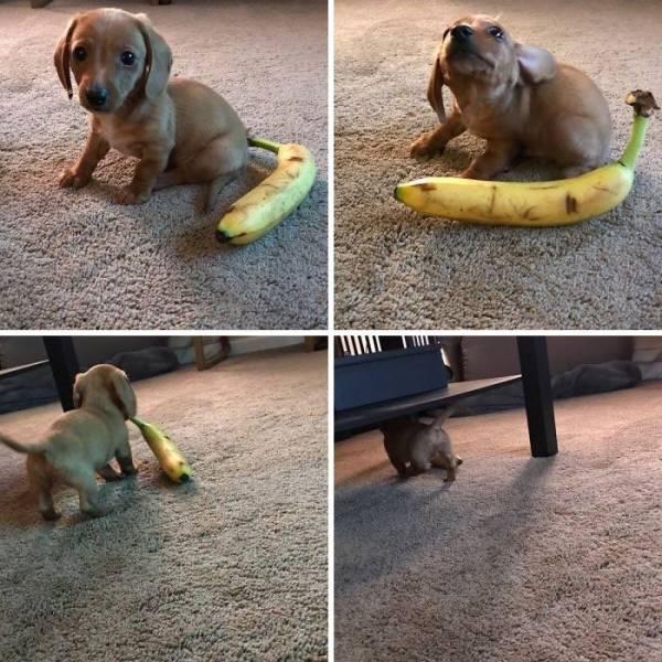 Daily Picdump
