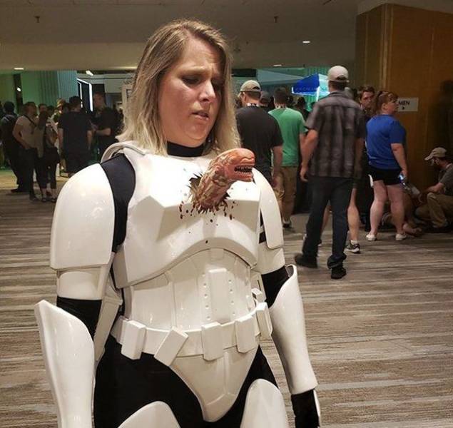 Daily Picdump