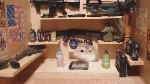 Content Image