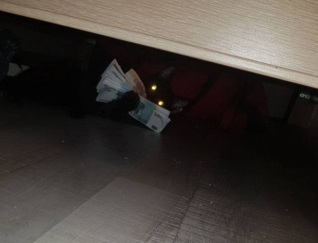 Content Image