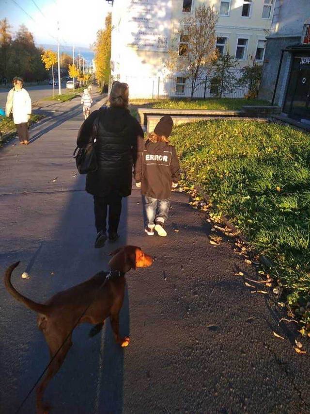 Daily Picdump