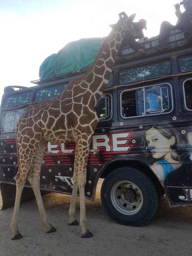 Daily Picdump