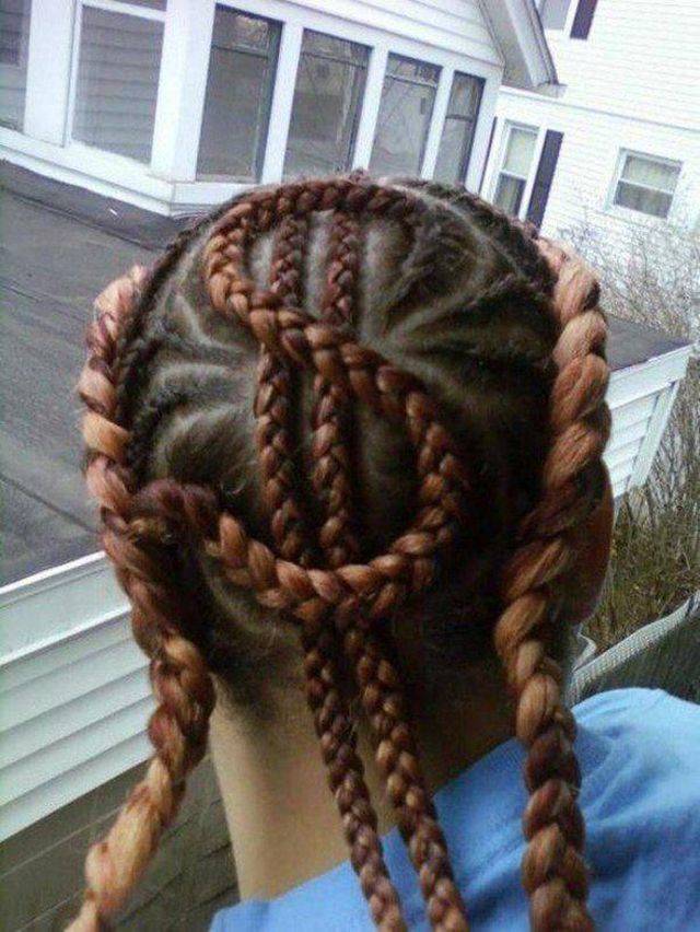 Daily Picdump