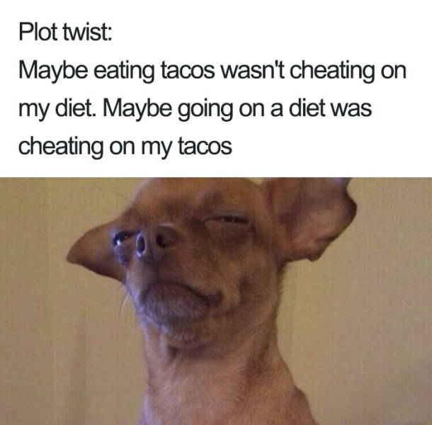 You Know You Like Both Food And Memes