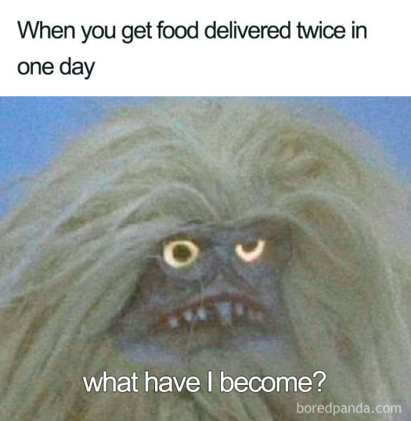 You Know You Like Both Food And Memes