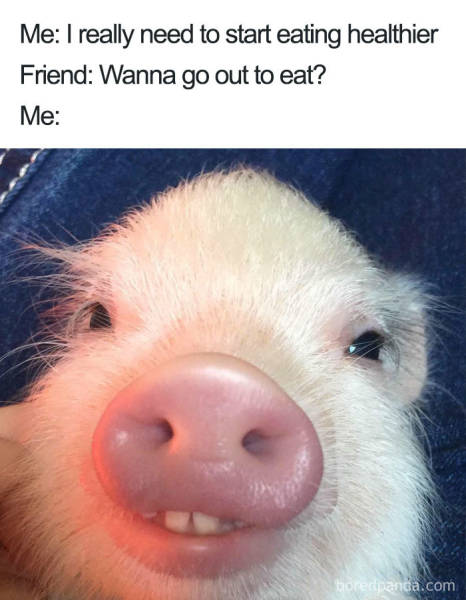 You Know You Like Both Food And Memes