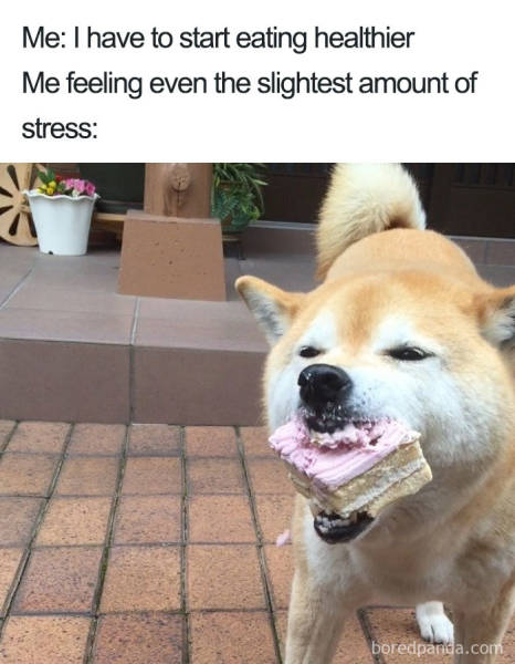 You Know You Like Both Food And Memes