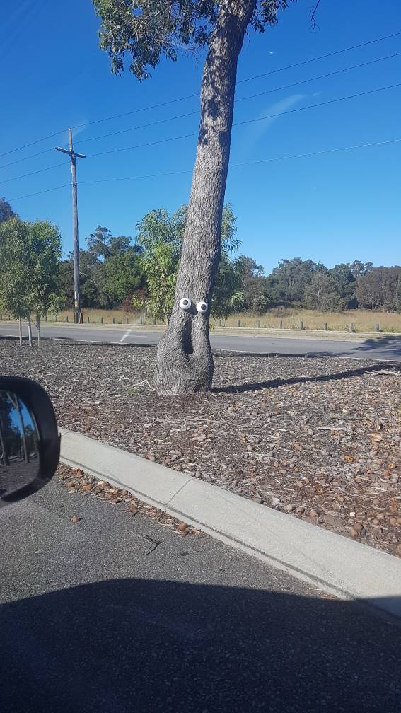 Content Image