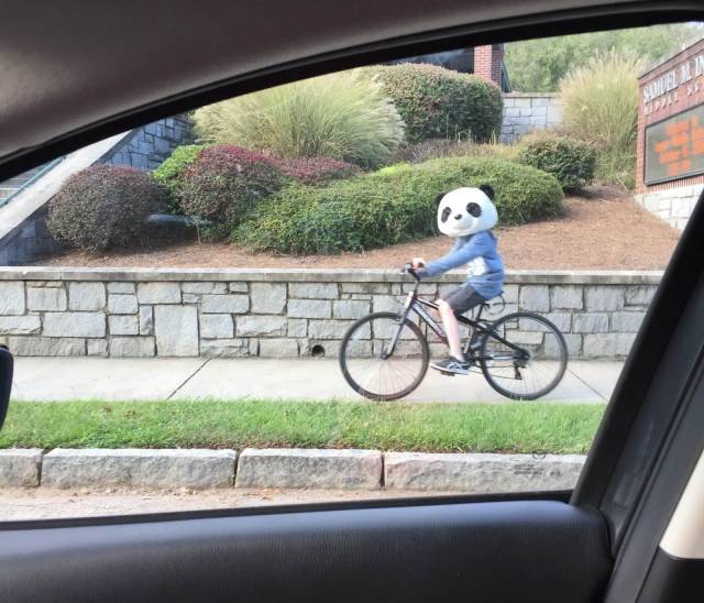 Content Image