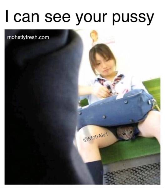 Funny Picdump
