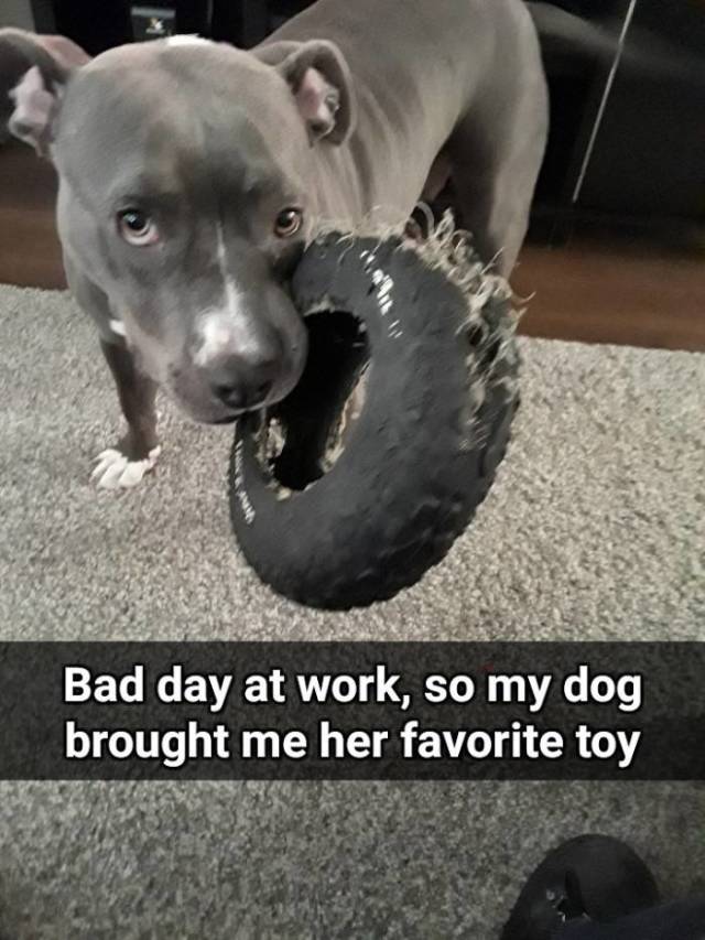 Funny Picdump