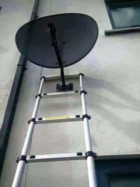 Content Image