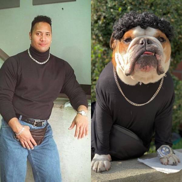 Content Image